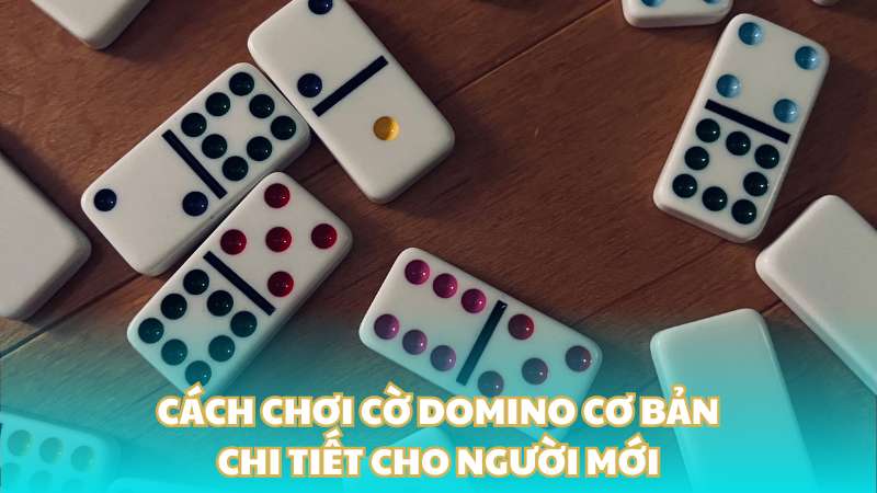 Cách chơi cờ Domino cơ bản chi tiết cho người mới